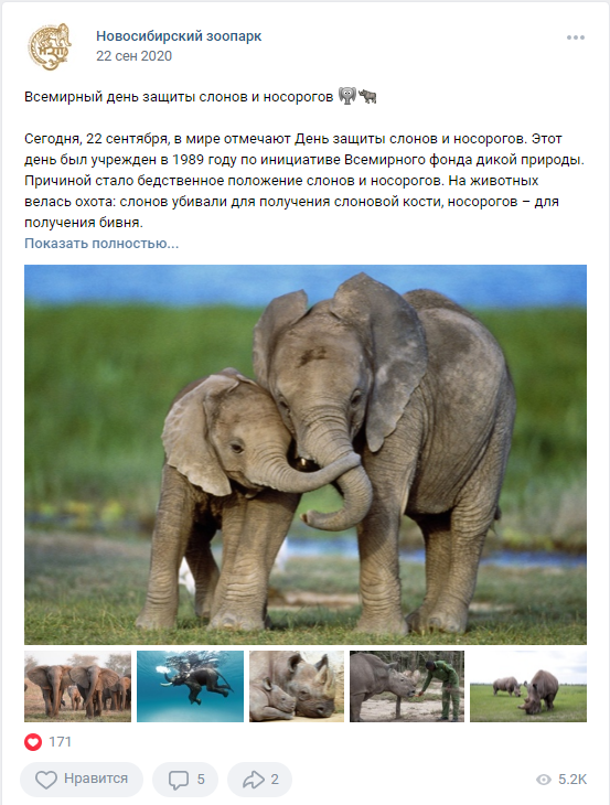 22 сентября Всемирный день защиты слонов и носорогов