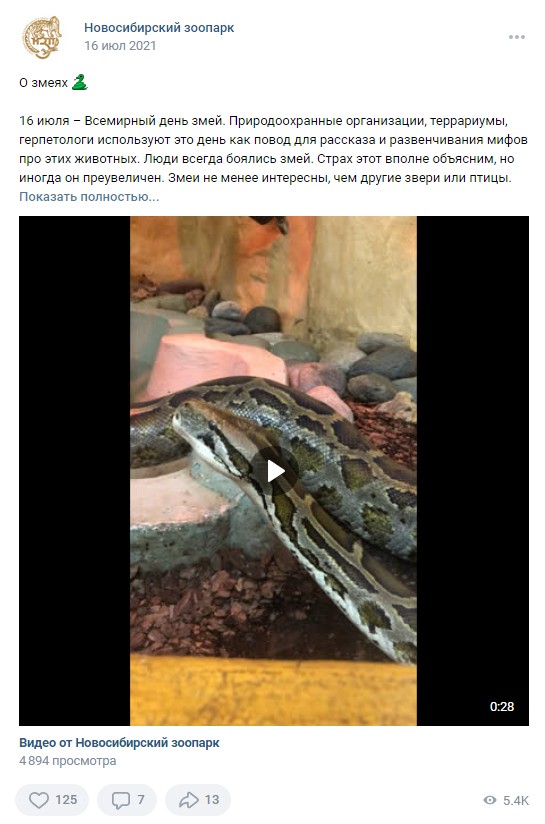 16 июля Всемирный день змей Новосибирский зоопарк