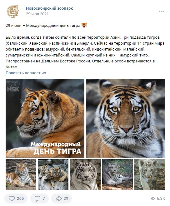 29 июля Международный день Тигра