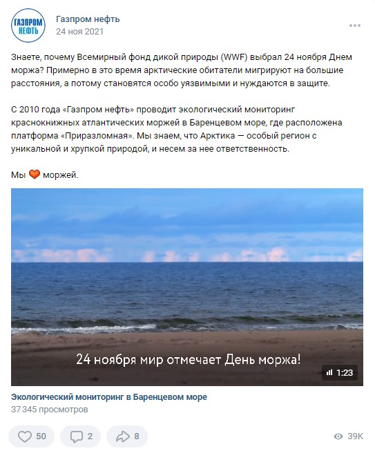 24 ноября День моржа