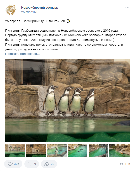 25 апреля Всемирный день пингвинов