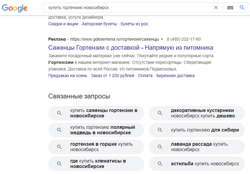 Связанные запросы от Google Связанные запросы от Google