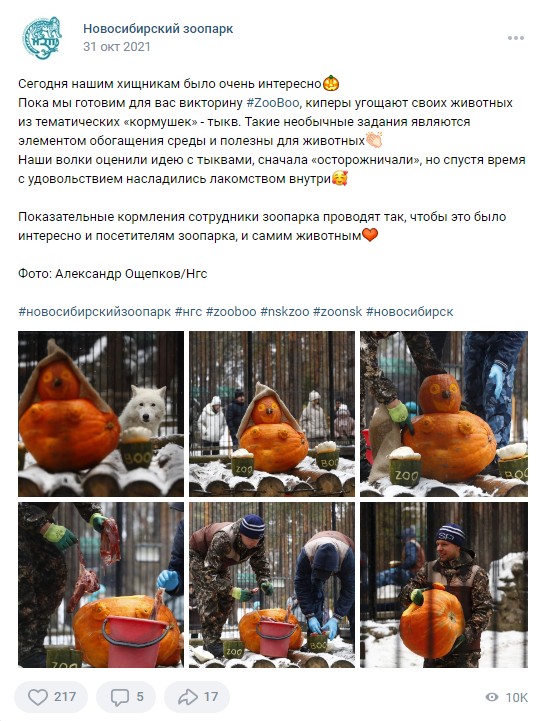 31 октября Хэллоуин Новосибирский зоопарк