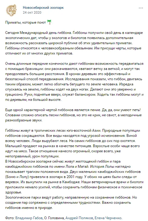 24.10 Международный день гиббона 1
