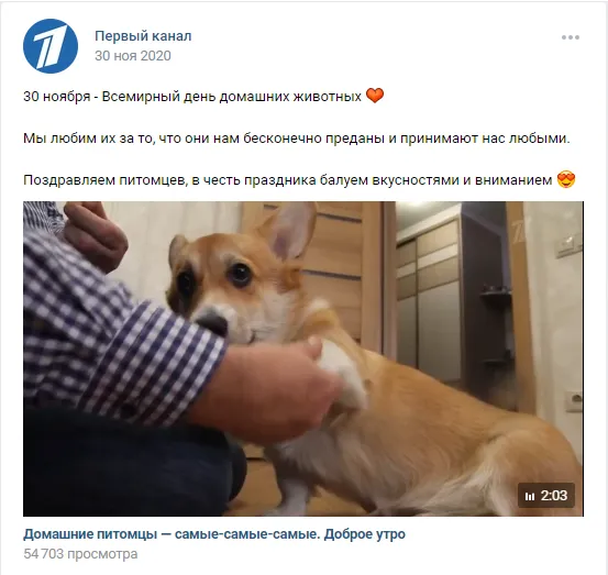 30 ноября Всемирный день дом.животных