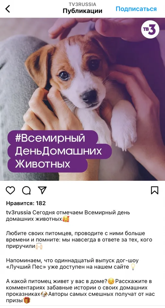 30 ноября день домашних животных тв3