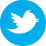 icon-twitter