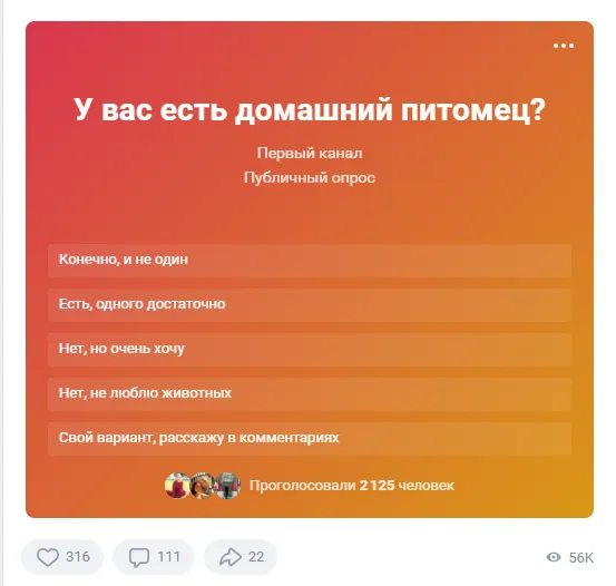 30 ноября Всемирный день дом.животных 2