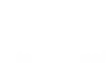 NL International