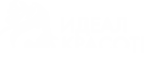 Идеал Красоты