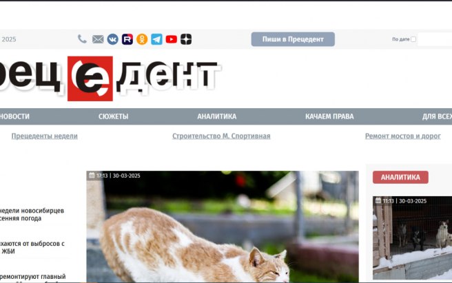 Результат работы по проекту Продвижение новостного портала Прецедент ТВ