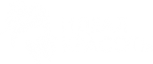 Идеал Красоты