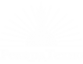 РекордТехно